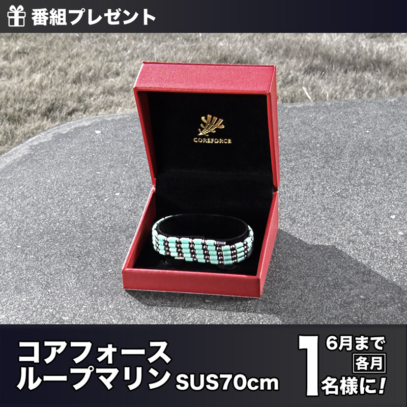 [コアフォース]ループマリン(SUS70cm)プレゼント「TEAM SERIZAWA」